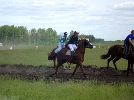 сабантуй-2013, скачки