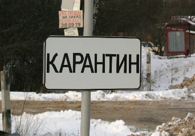 В Новосибирске борются с распространением бешенства